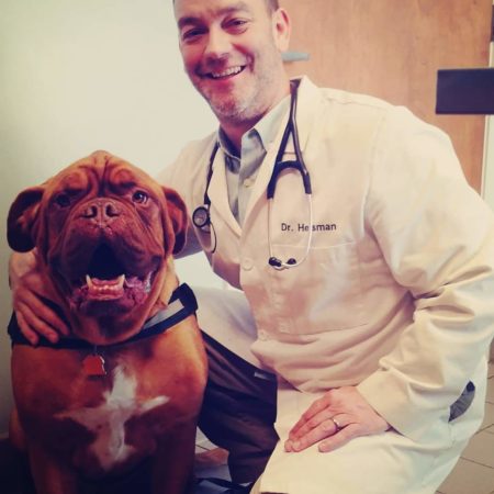 Doctor Hersman With Dog, Doctor Hersman East Springfield Veterinary Hospital, Doctor Hersman Wilbraham Animal Hospital