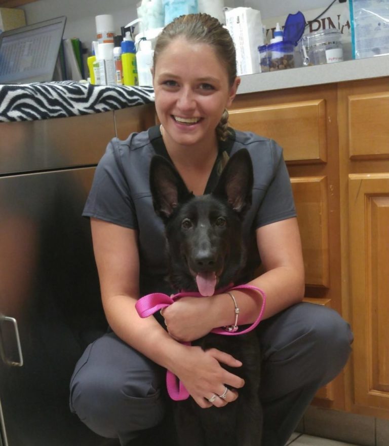 FAQ East Springfield Veterinary Hospital Western Massachusetts