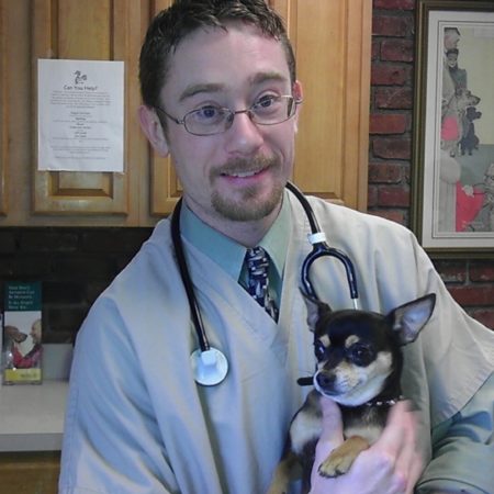 Veterinarian With Dog, Veterinary Hospital In Western MA