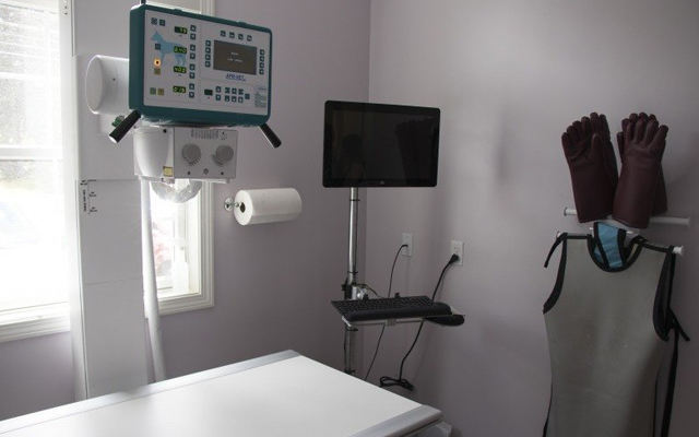 pet x-ray machine, pet ultrasound technology, pet ultrasound machine