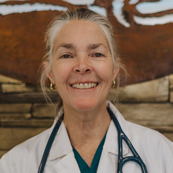 Lynn Dgetluck headshot, veterinarian western MA, veterinarian at East Springfield Veterinary Hospital